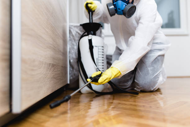 Best Local Pest Control Services  in Port Washington North, NY