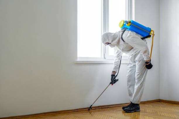 Best Pest Removal Services  in Port Washington North, NY