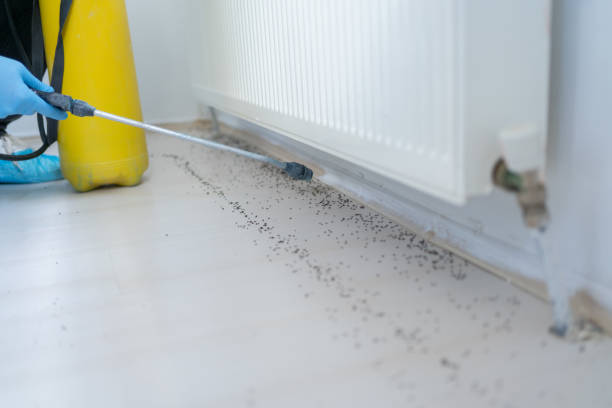 Best Best Pest Control Companies  in Port Washington North, NY