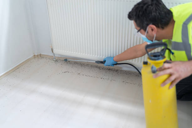 Best Bed Bug Extermination  in Port Washington North, NY